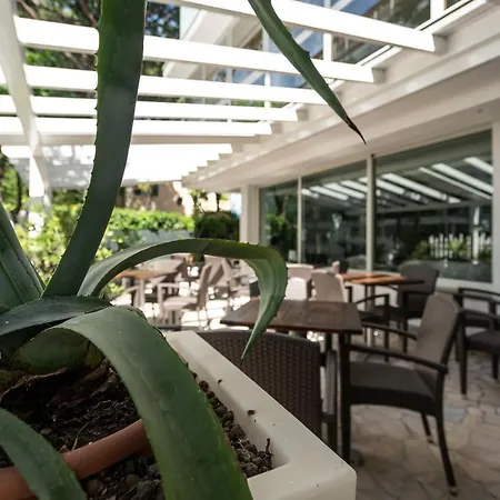 Pacific 3* 리치오네