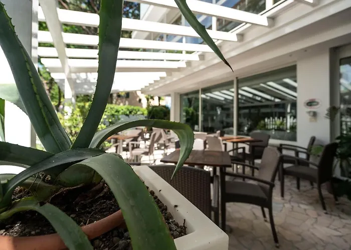 Pacific 3* Риччоне